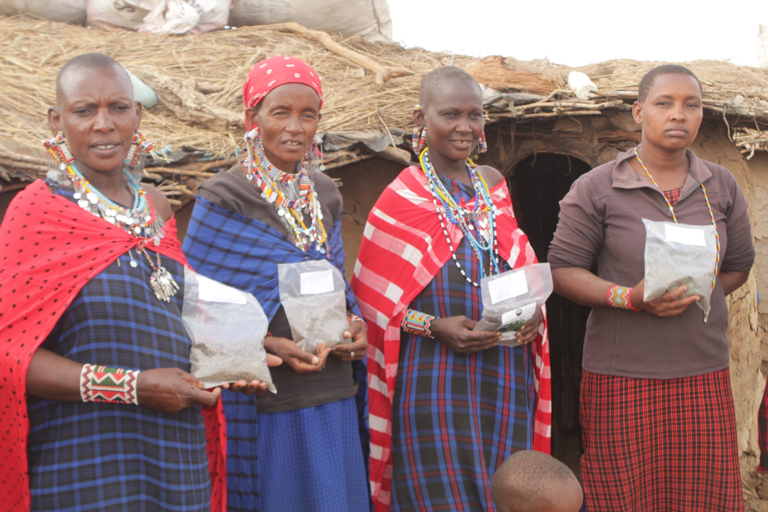 The Maasai Community: Education, Economics, and Environmental Conservation