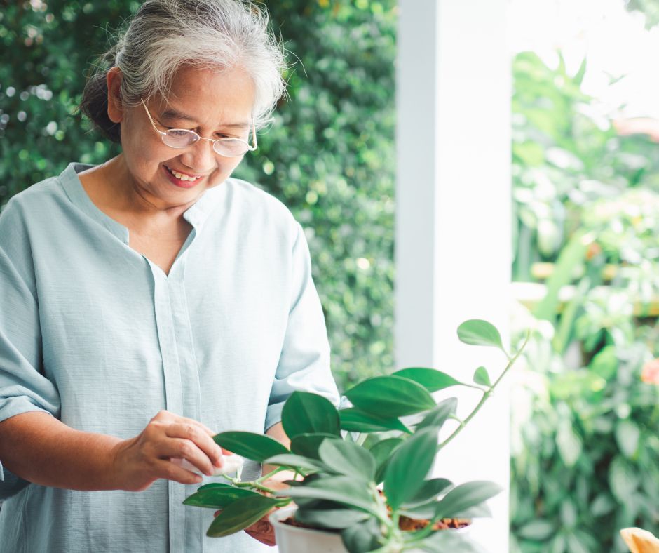 The Impact of the Environment on Human Health: A Vital Connection