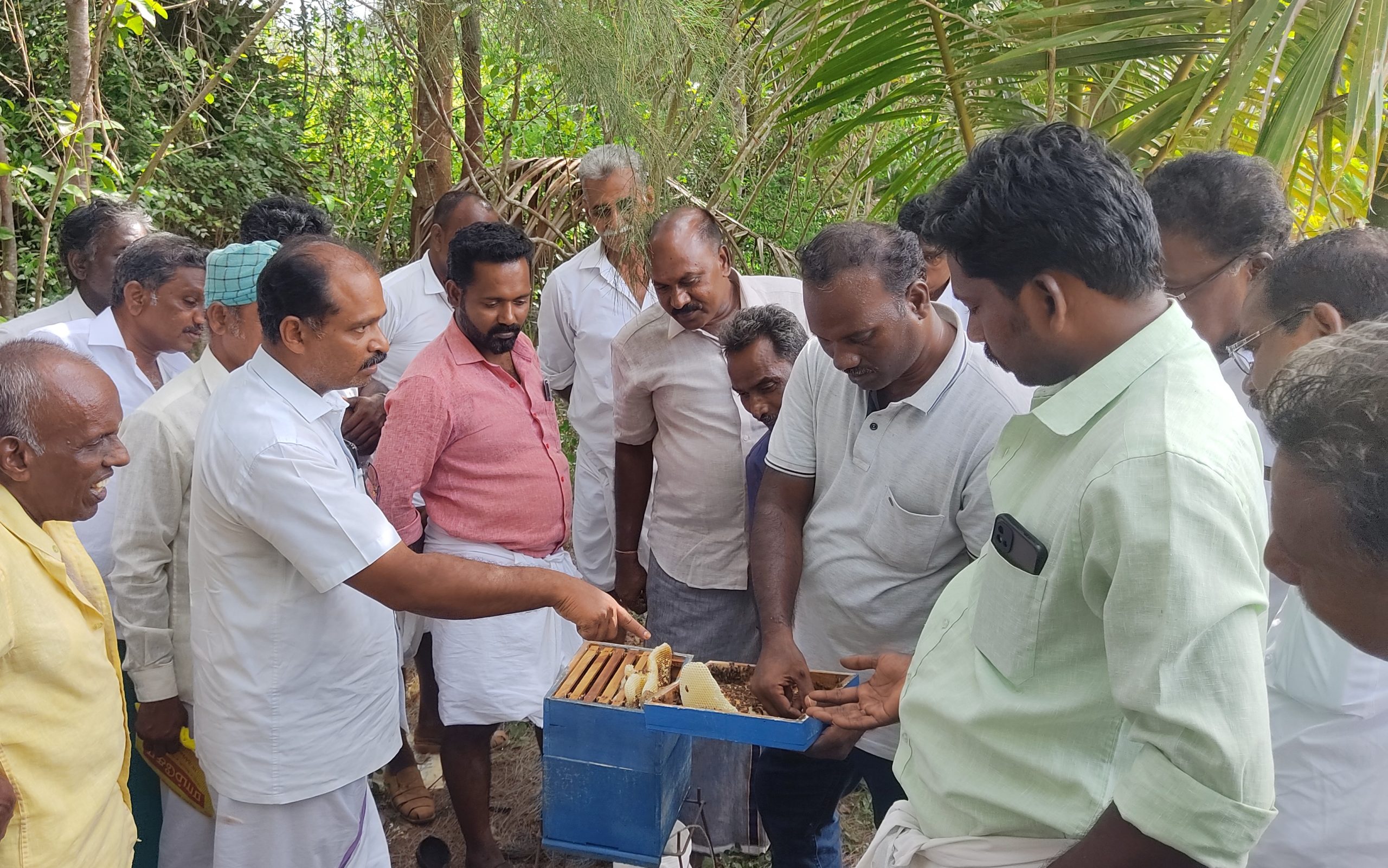 Integral Ecology: A Holistic Approach to Global Challenges