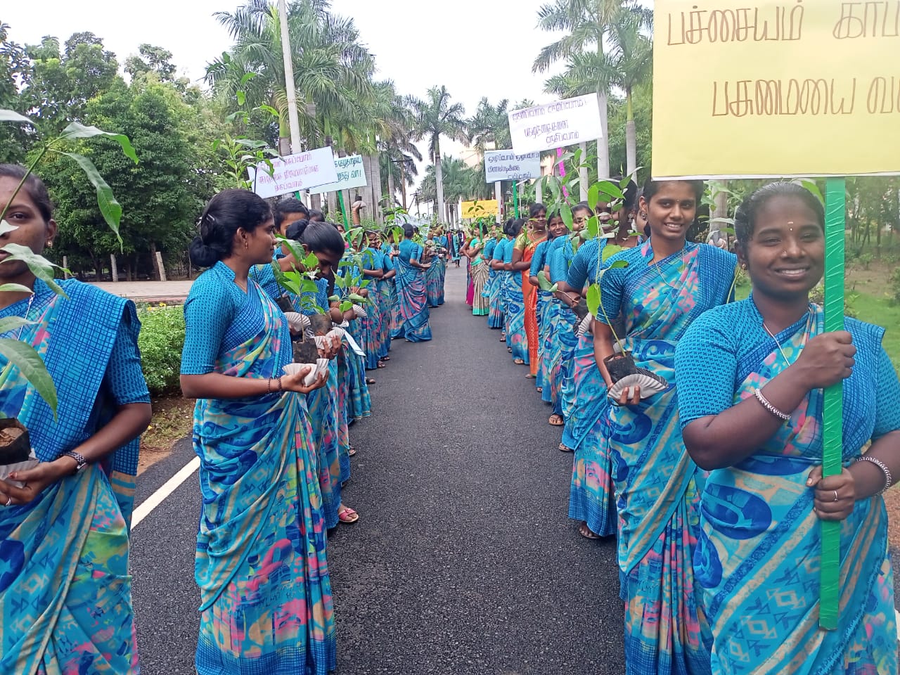 Harnessing Collective Power: A Hope of the Platform