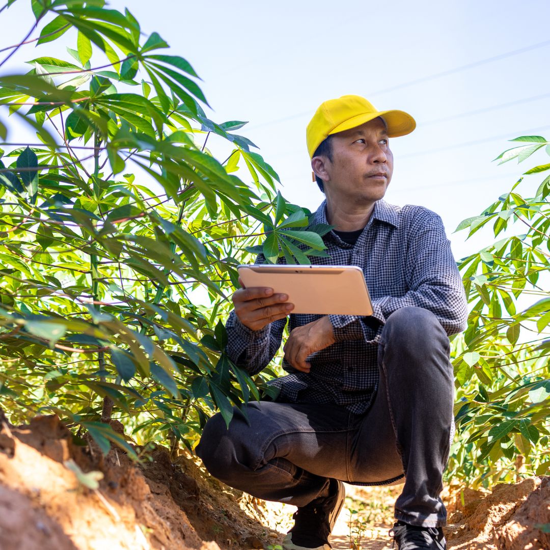 Tailoring Your Laudato Si’ Plan for Impact