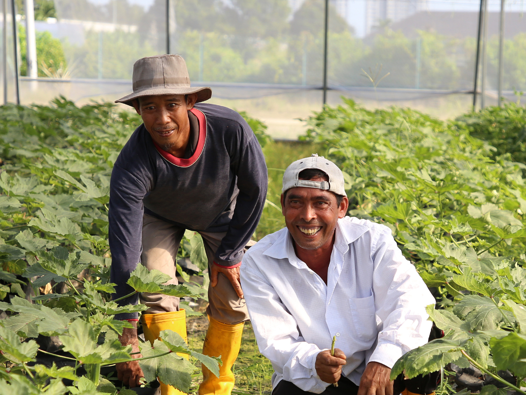 10 Things You Need to Know to Get Started with the Laudato Si’ Action Platform