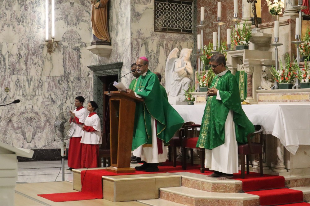 Making Peace with Creation: Reflections from the Archdiocese of Bombay