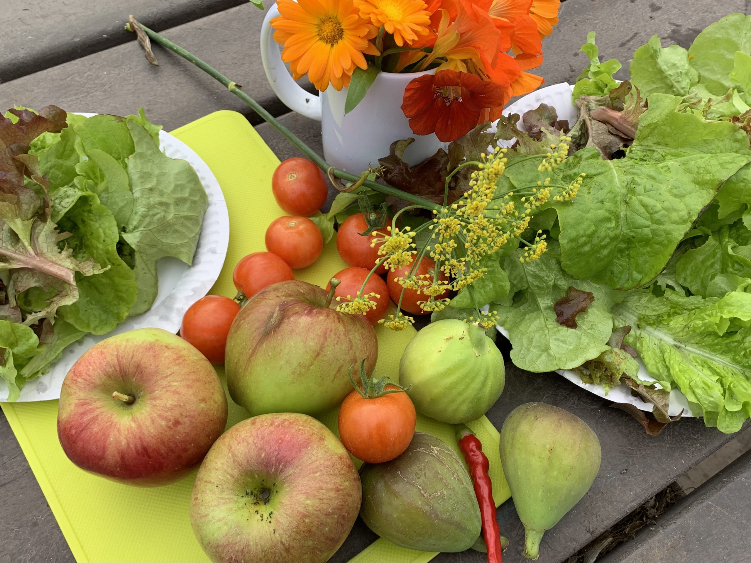 Nothing Is Too Small”: The European Province of the Society of the Holy Child Jesus