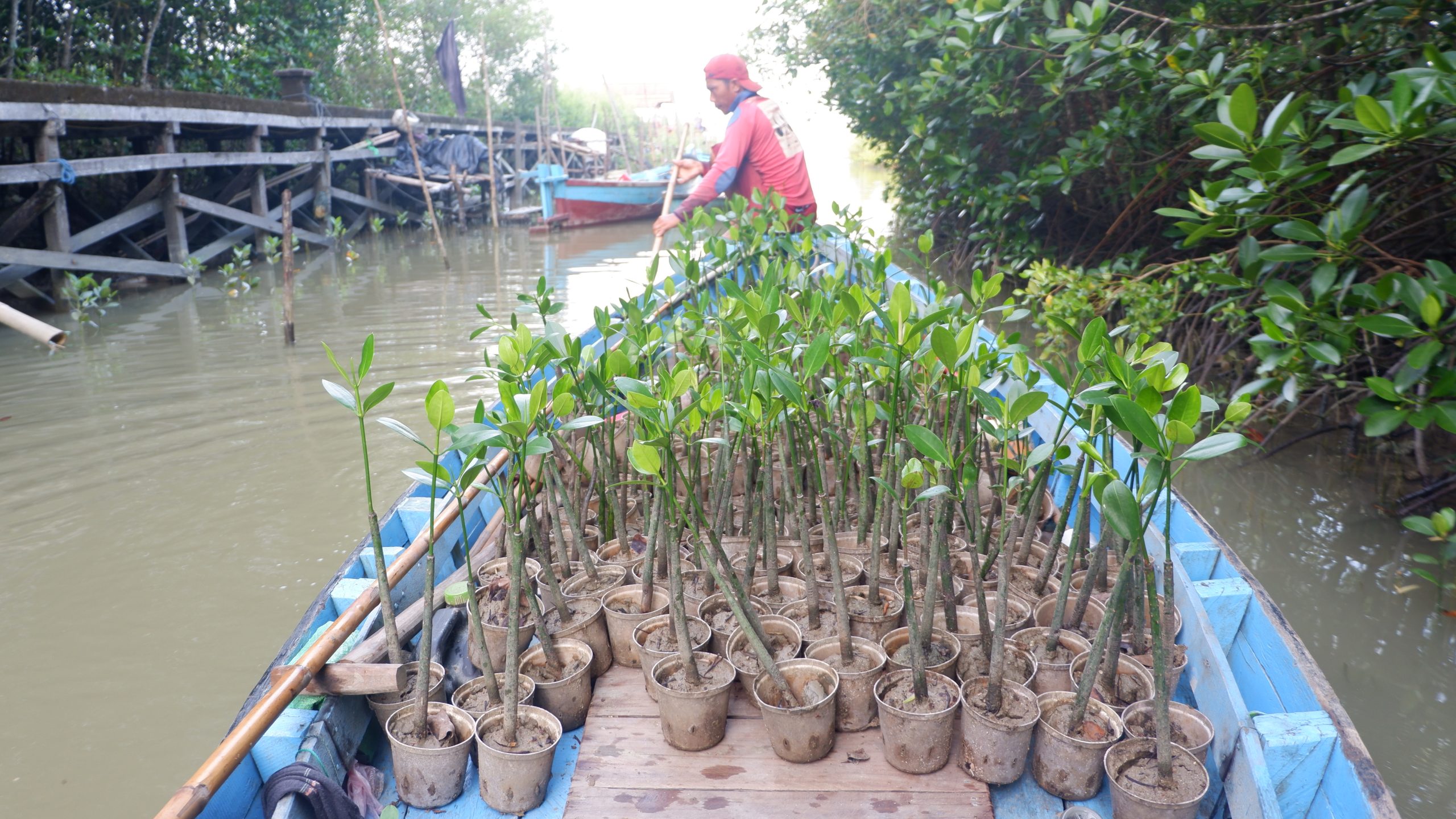 From Intention to Infrastructure: 4 lessons in turning ecological conversion into large scale action