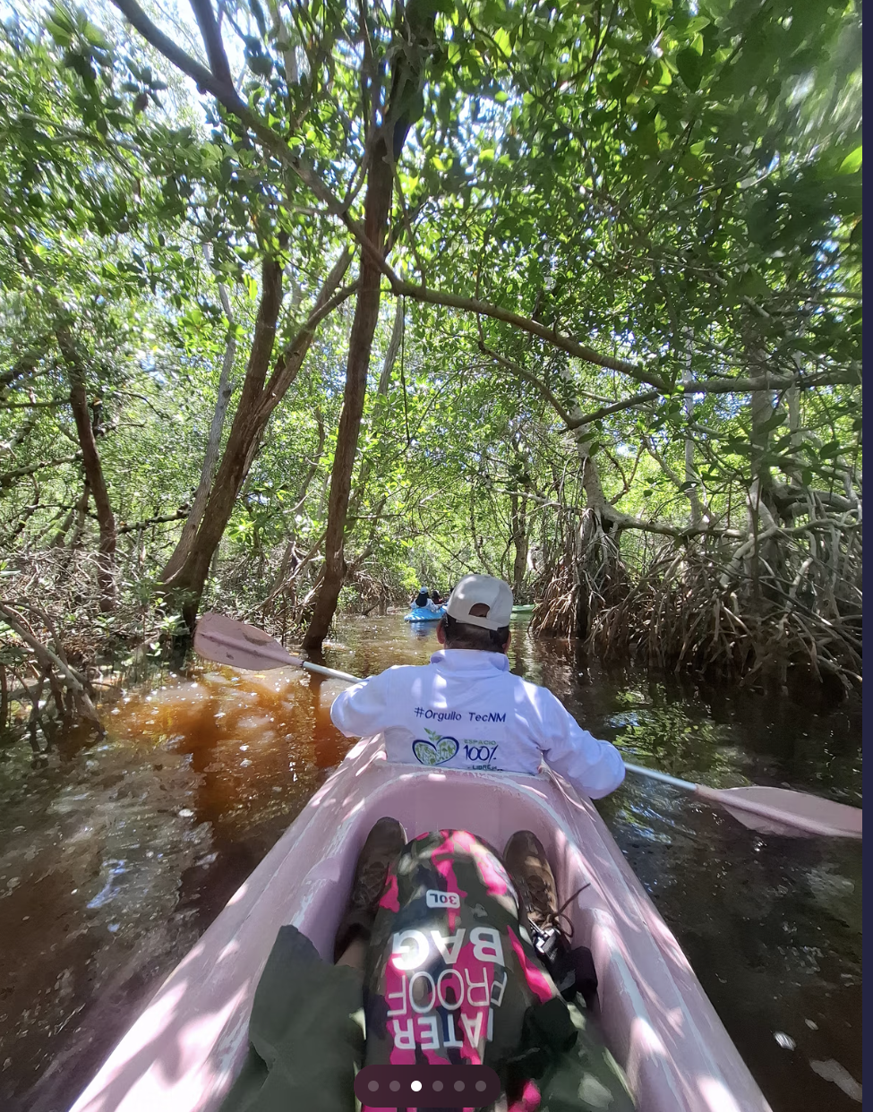 From Hope to Action: How Communities Around the World Celebrated Laudato Si’ Week 2026