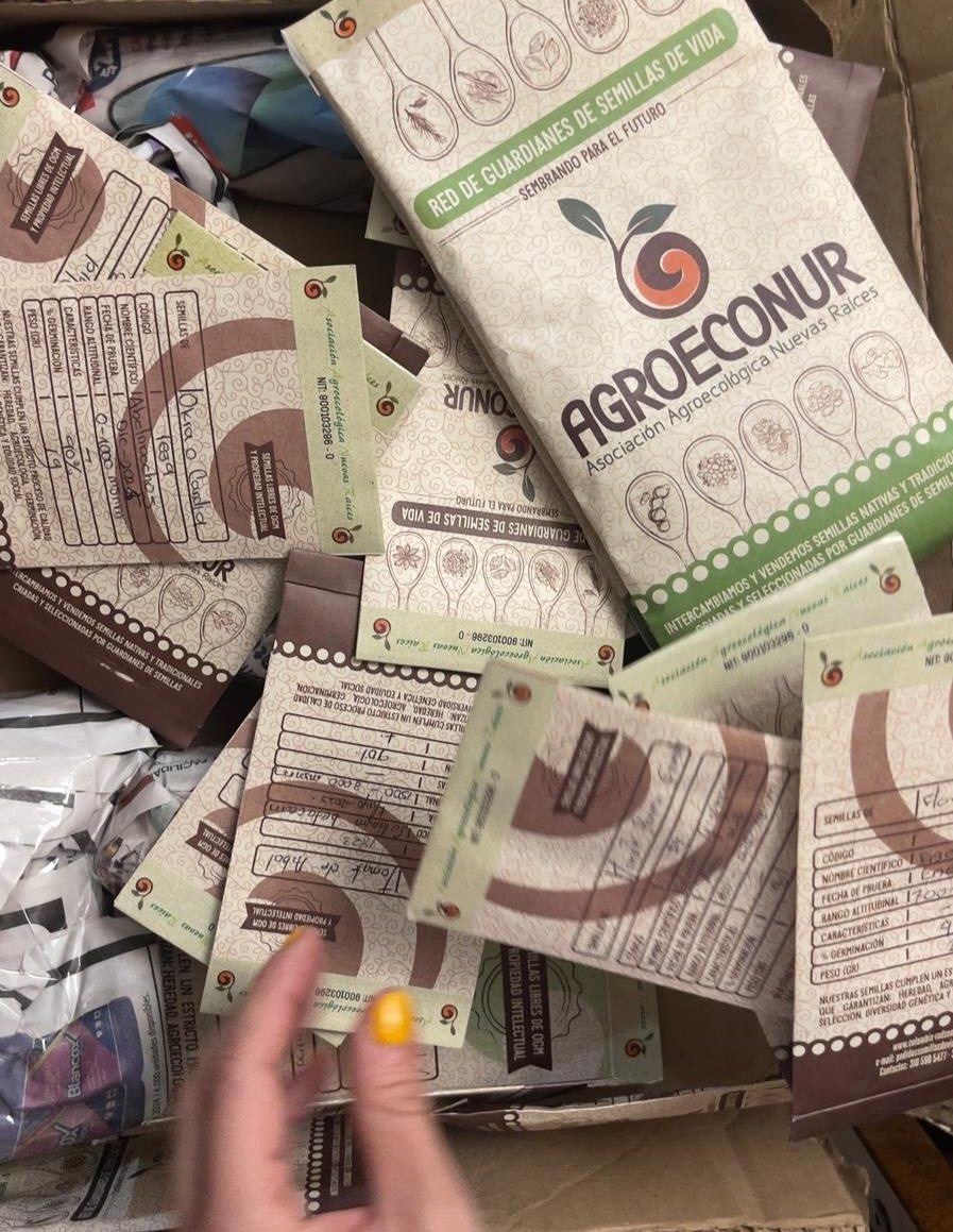 Seeds of Hope for Our Common Home: An Alliance for Biodiversity and Integral Ecology in Colombia