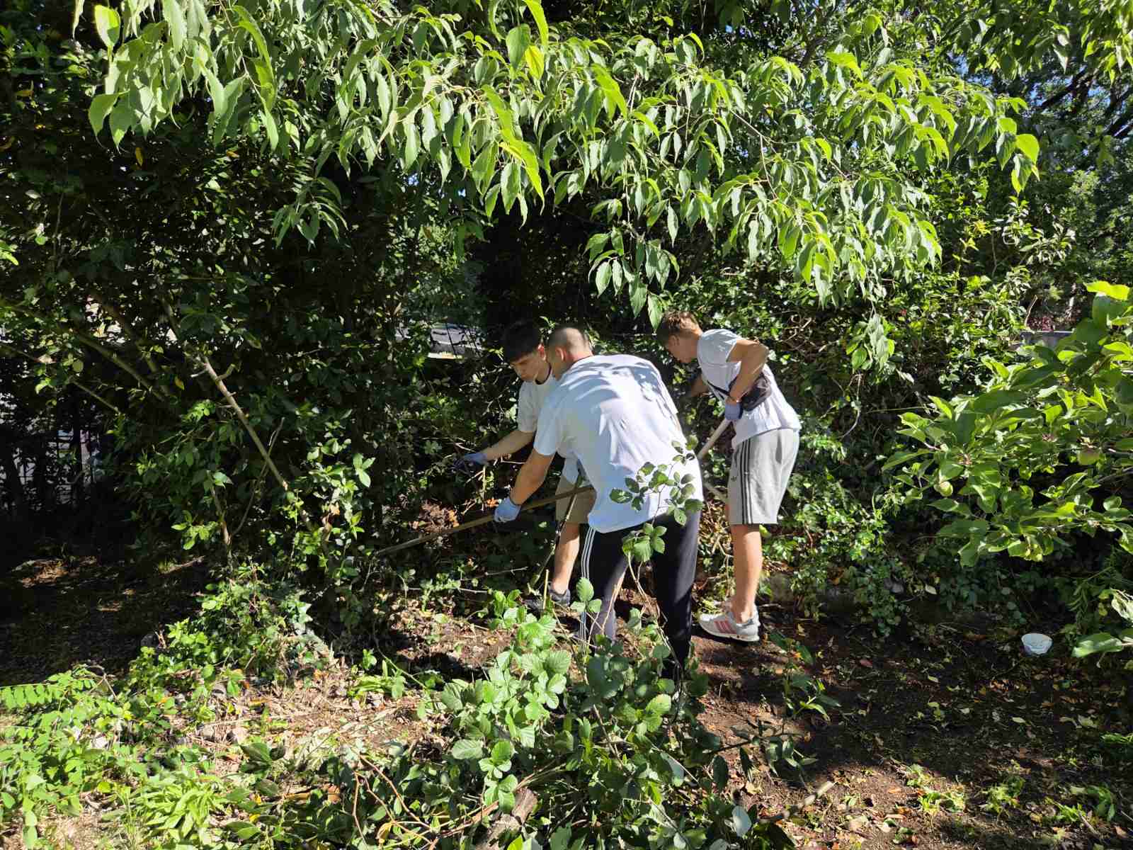 From Bishops to Parishes: How Croatia Is Building a Shared Path for Integral Ecology